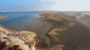 QT launches Qatar: Through the Eyes of a Falcon